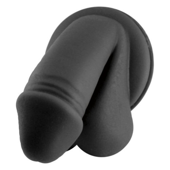 Anatomic Display Genital Man