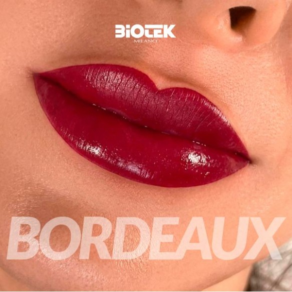 BORDEAUX - Biotek - 15ml - Pigmento PMU REACH