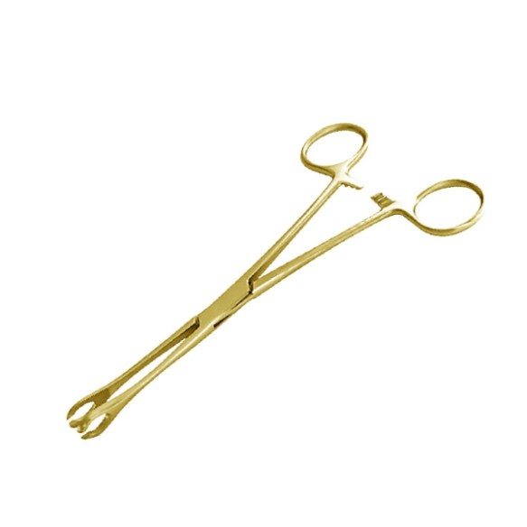 GOLD TOOLS - PINZA OVALE APERTA