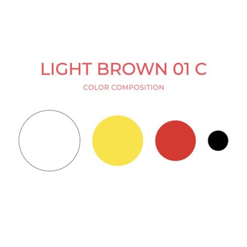 LIGHT BROWN 01 C (Freddo) - Artyst - 10ml - Pigmento PMU REACH