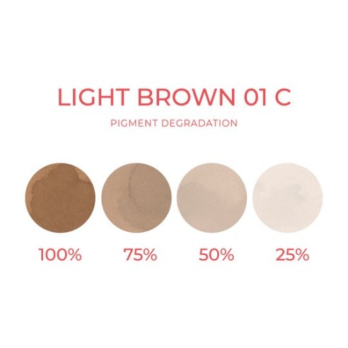 LIGHT BROWN 01 C (Freddo) - Artyst - 10ml - Pigmento PMU REACH