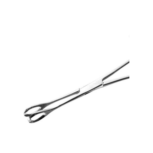 Pinza Ovale Aperta