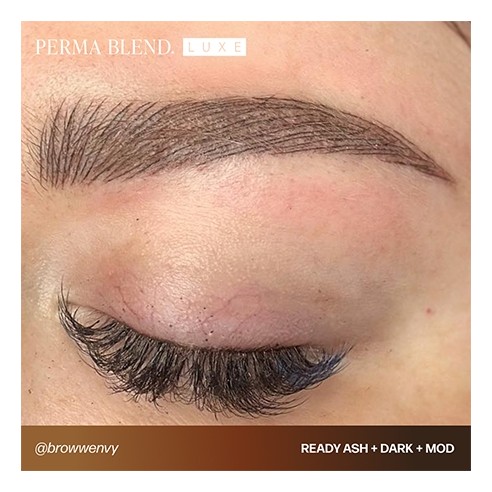 READY, SET, GO Pre-Modified Set  - Perma Blend Luxe - 6x15ml - Pigmenti PMU REACH