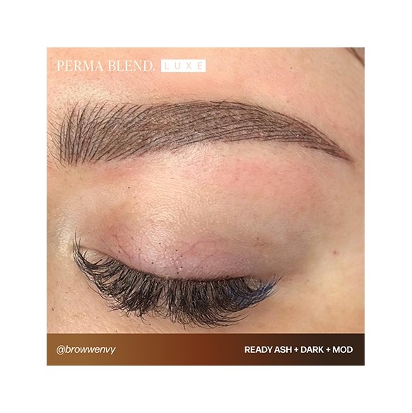 READY, SET, GO Pre-Modified Set  - Perma Blend Luxe - 6x15ml - Pigmenti PMU REACH