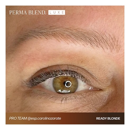 READY, SET, GO Pre-Modified Set  - Perma Blend Luxe - 6x15ml - Pigmenti PMU REACH