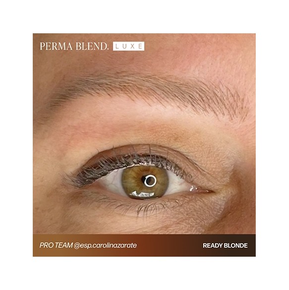 READY, SET, GO Pre-Modified Set  - Perma Blend Luxe - 6x15ml - Pigmenti PMU REACH