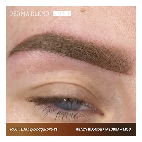 READY, SET, GO Pre-Modified Set  - Perma Blend Luxe - 6x15ml - Pigmenti PMU REACH