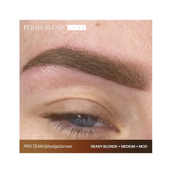 READY, SET, GO Pre-Modified Set  - Perma Blend Luxe - 6x15ml - Pigmenti PMU REACH