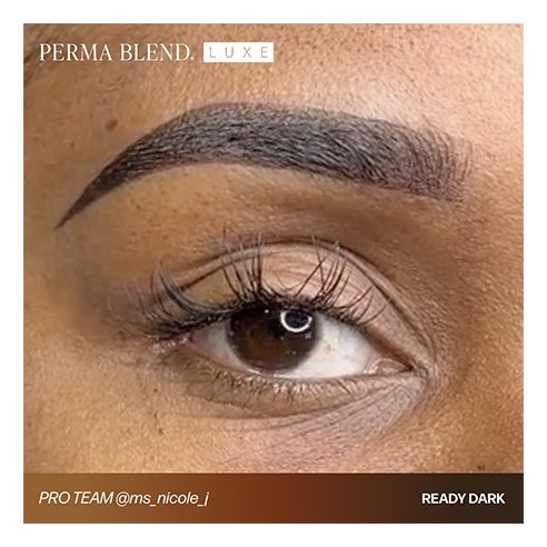 READY, SET, GO Pre-Modified Set  - Perma Blend Luxe - 6x15ml - Pigmenti PMU REACH