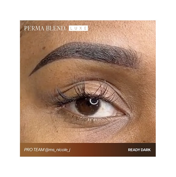 READY, SET, GO Pre-Modified Set  - Perma Blend Luxe - 6x15ml - Pigmenti PMU REACH