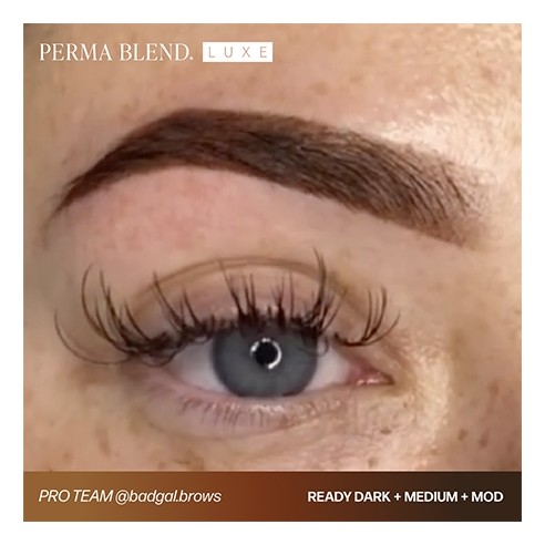READY, SET, GO Pre-Modified Set  - Perma Blend Luxe - 6x15ml - Pigmenti PMU REACH