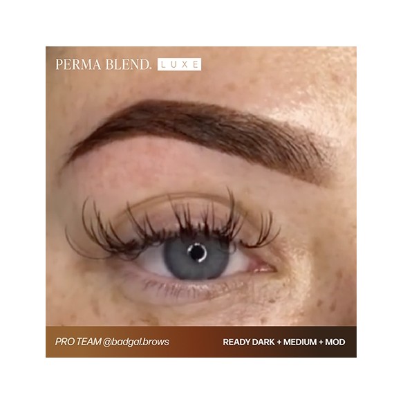 READY, SET, GO Pre-Modified Set  - Perma Blend Luxe - 6x15ml - Pigmenti PMU REACH