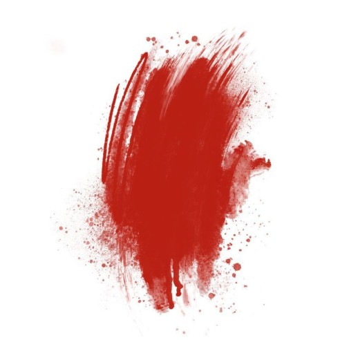RED STRAWBERRY Brovi - Pigmento PMU per Pelle Sintetica - 5ml
