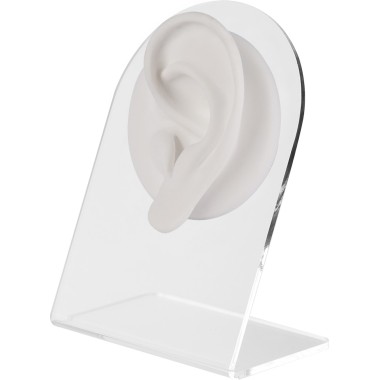 WHITE ANATOMIC DISPLAY EAR-L