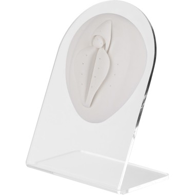 WHITE ANATOMIC DISPLAY GENITAL FEM