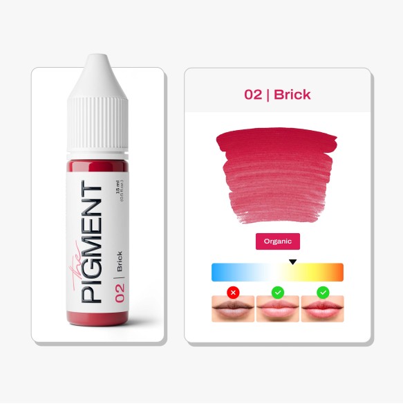 02 BRICK - The Pigment - 15ml - Pigmento PMU REACH