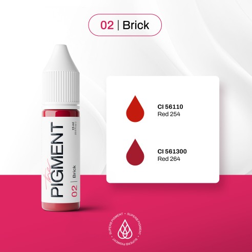 02 BRICK - The Pigment - 15ml - Pigmento PMU REACH