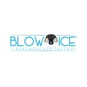 blow ice